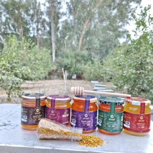 باقة الكاليتوس